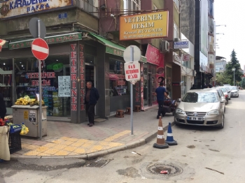 Veteriner Hekim Kemal Bütüner