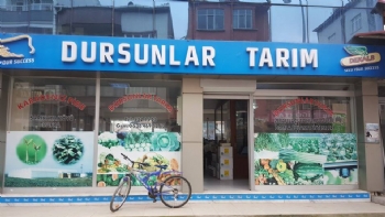 Bafra Dursunlar Tarım