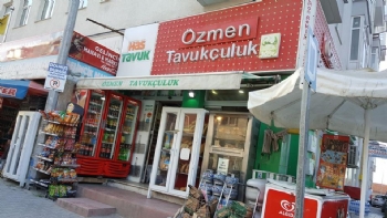 Sinop Özmen Tavukçuluk